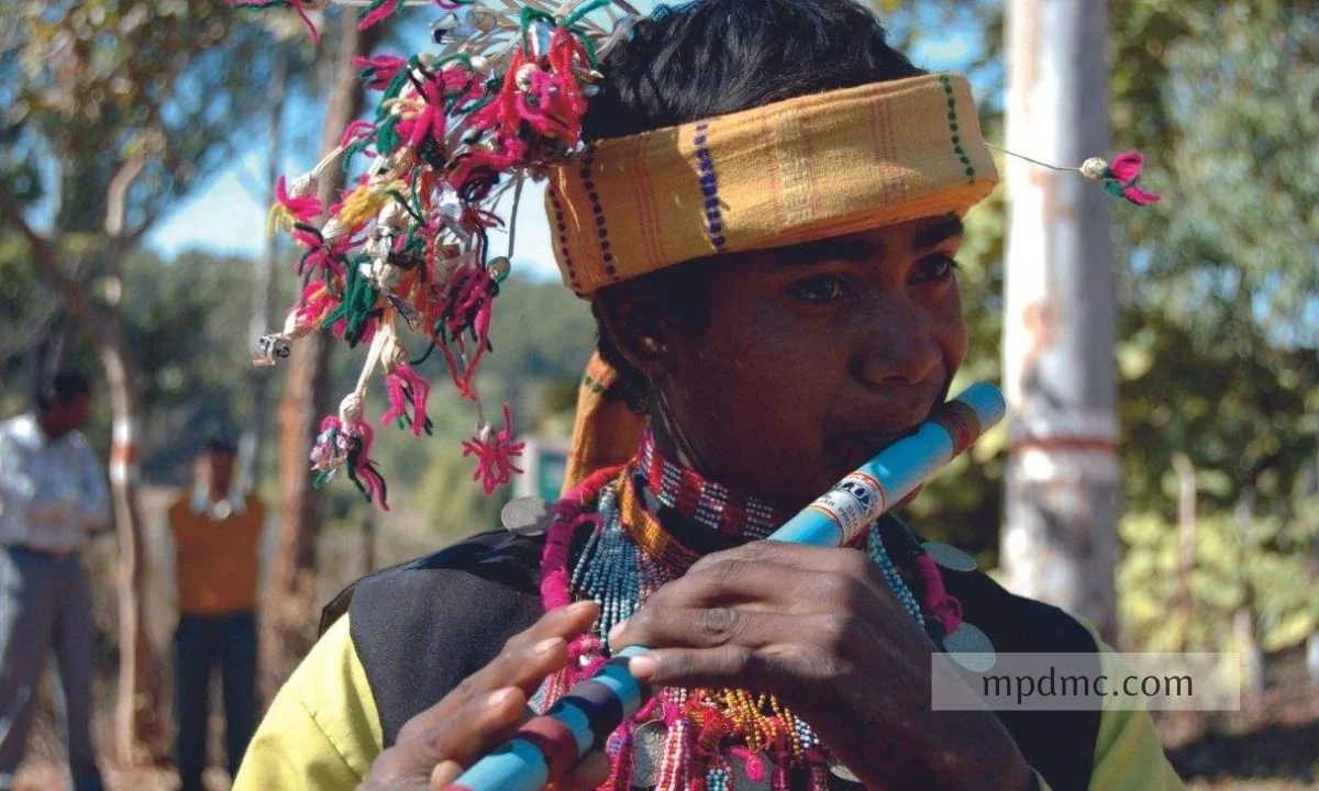 bhagoria-festival, Madhya-Pradesh