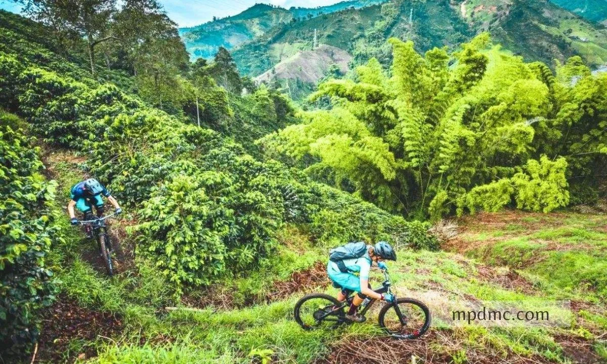 Cycle Tour Indore Mhow Patalpani Choral