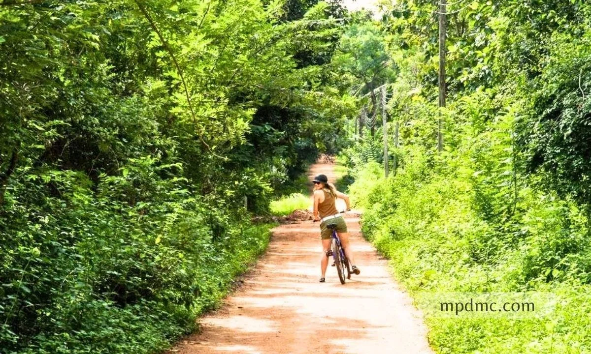 cycling-van-vihar, Madhya Pradesh