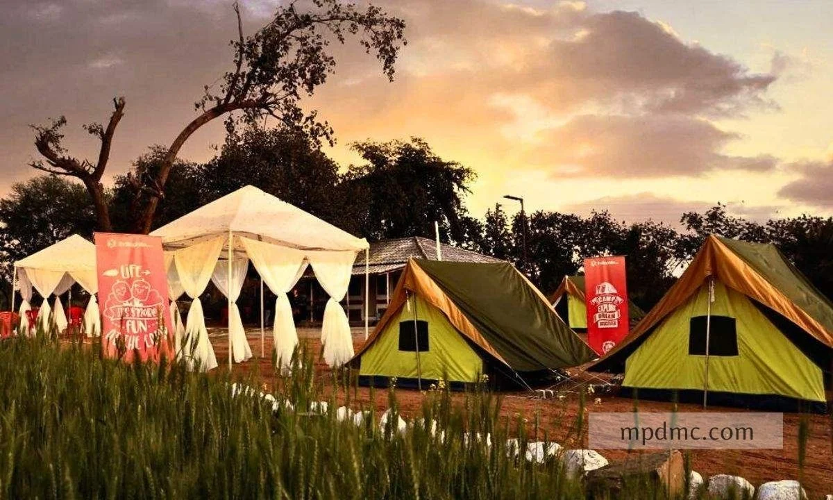 Gypsy Camping in Pench National Park, Madhya Pradesh