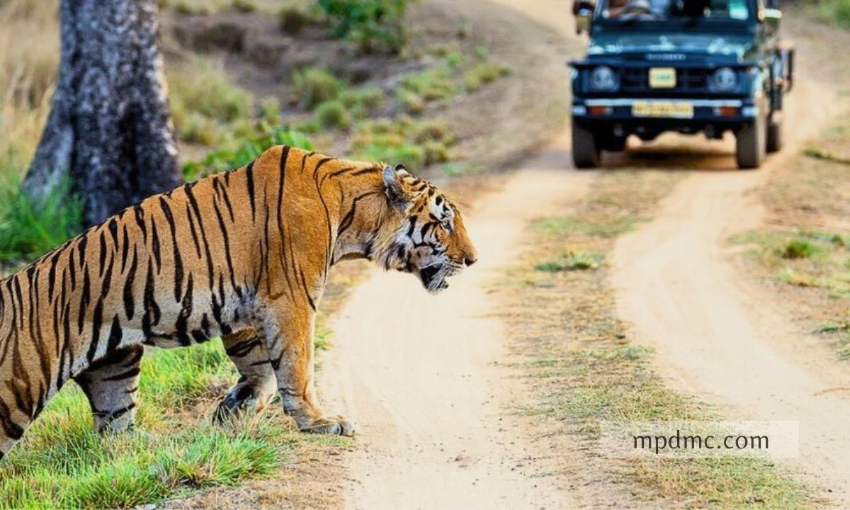 About-Madhyapradesh