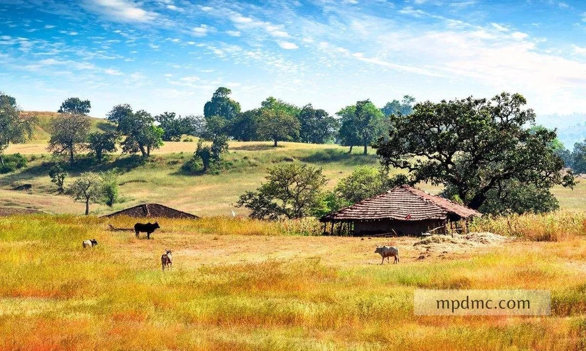 Day in patalkot, Madhya pradesh