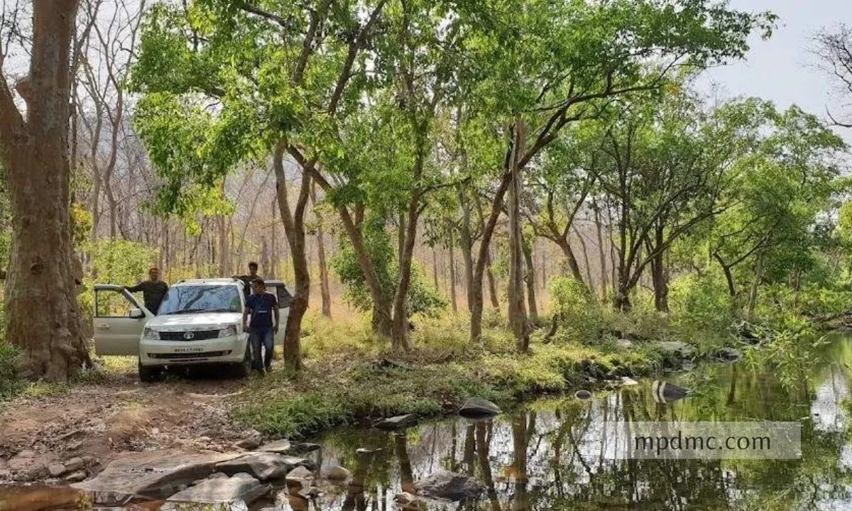 Ratapani Wildlife Sanctuary