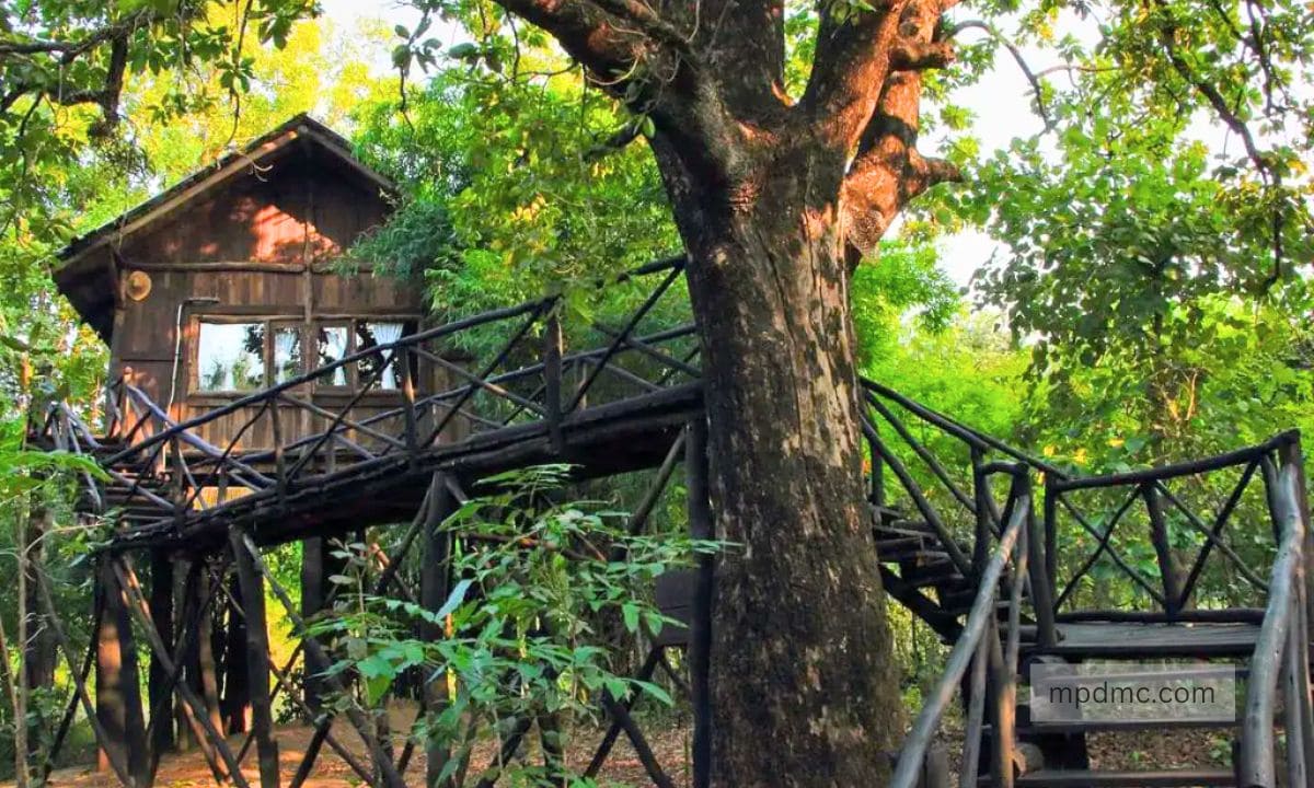 Pugdundee Safaris at Bandhavgarh National Park