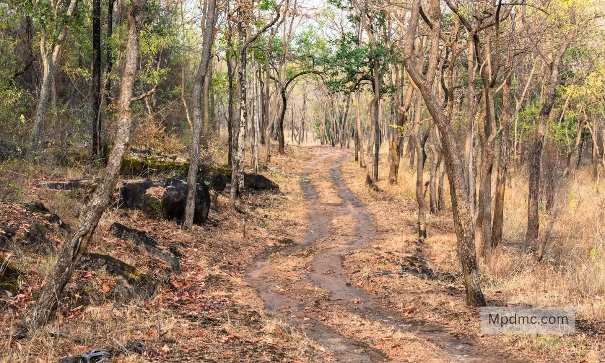 Satpura National Park