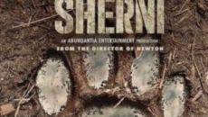 Sherni, Balaghat and Kanha